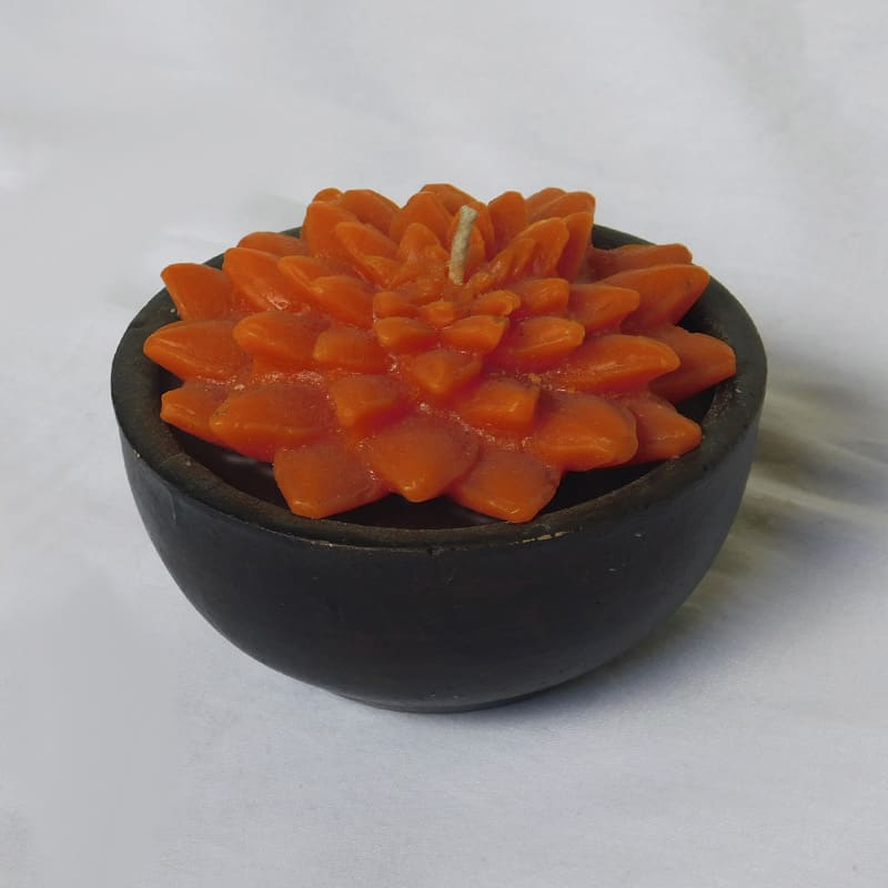 Velas de suculentas