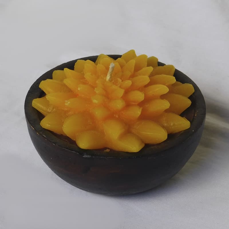 Velas de suculentas