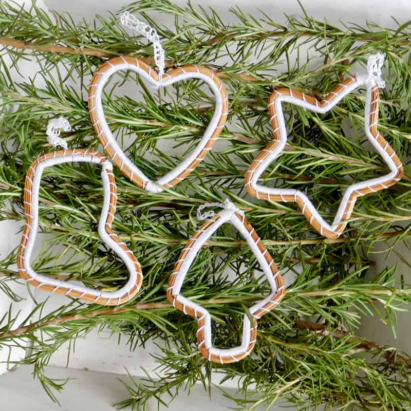 Adornos de pino variedad