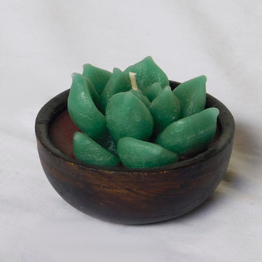 Velas de suculentas