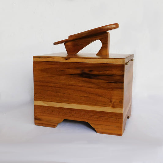 Caja para lustrar zapatos - estilo cofre