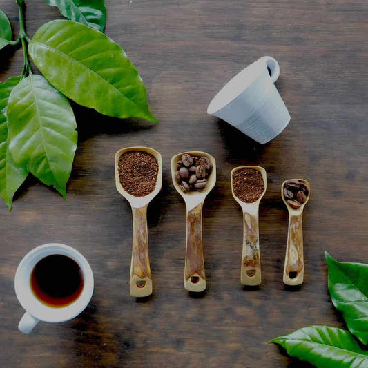 cucharas medidoras con granos de café y café molido